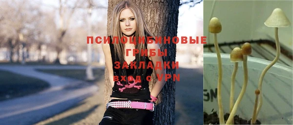 прущий лед Аркадак