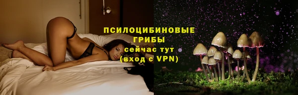 винт Переславль-Залесский