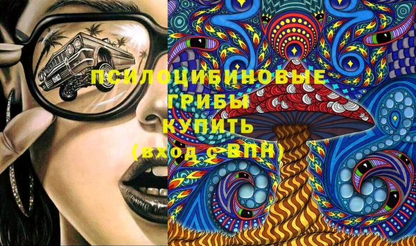 спиды Арсеньев