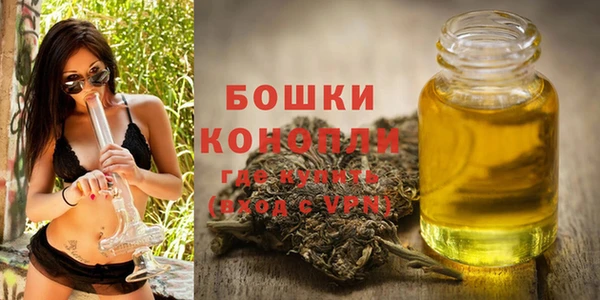 спиды Арсеньев