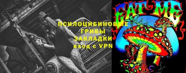прущий лед Аркадак