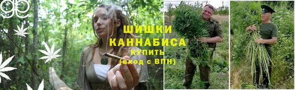 спиды Арсеньев