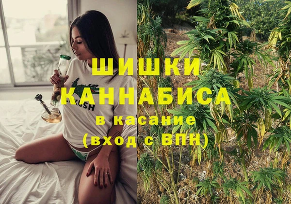 спиды Арсеньев
