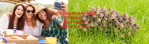 метадон Армянск