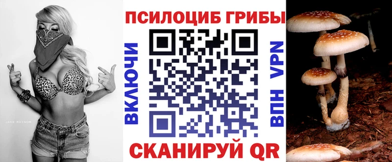площадка как зайти  Няндома  Псилоцибиновые грибы MAGIC MUSHROOMS 